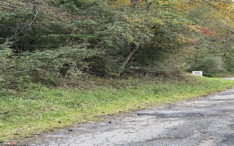 TBD Spencer Street, Flemington, West Virginia 26347, 0 , 0 ,0,Lots/land,For Sale,Spencer,0,10167242