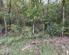 TBD Spencer Street, Flemington, West Virginia 26347, 0 , 0 ,0,Lots/land,For Sale,Spencer,0,10167242