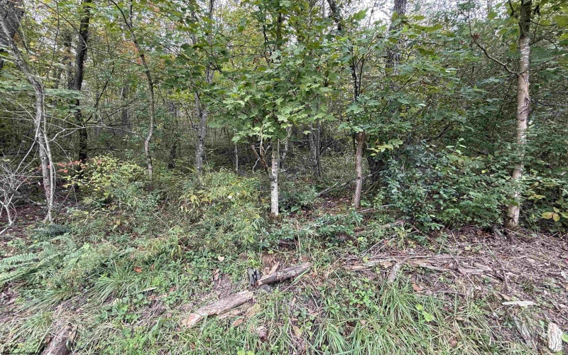 TBD Spencer Street, Flemington, West Virginia 26347, 0 , 0 ,0,Lots/land,For Sale,Spencer,0,10167242