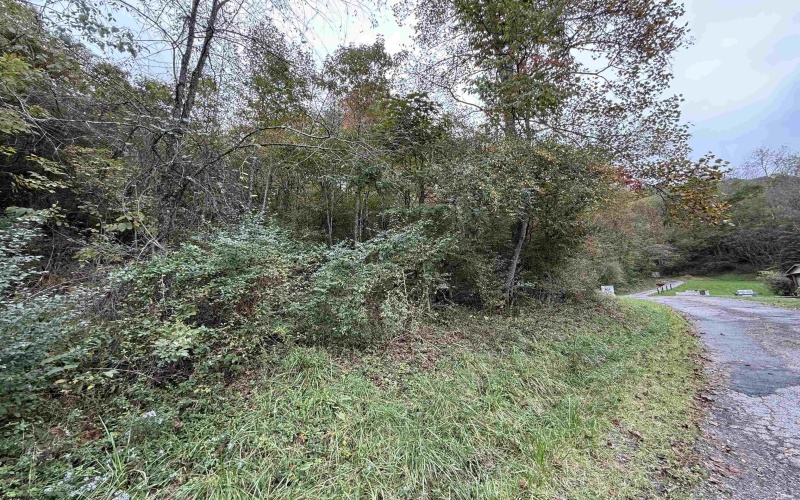 TBD Spencer Street, Flemington, West Virginia 26347, 0 , 0 ,0,Lots/land,For Sale,Spencer,0,10167242