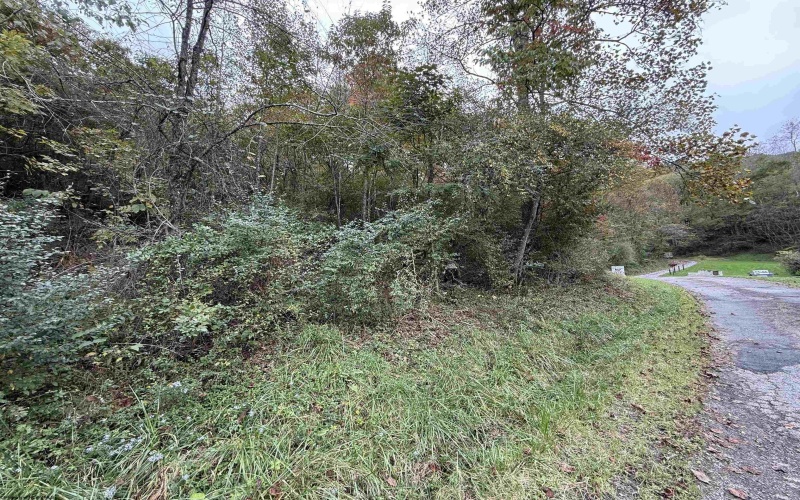 TBD Spencer Street, Flemington, West Virginia 26347, 0 , 0 ,0,Lots/land,For Sale,Spencer,0,10167242