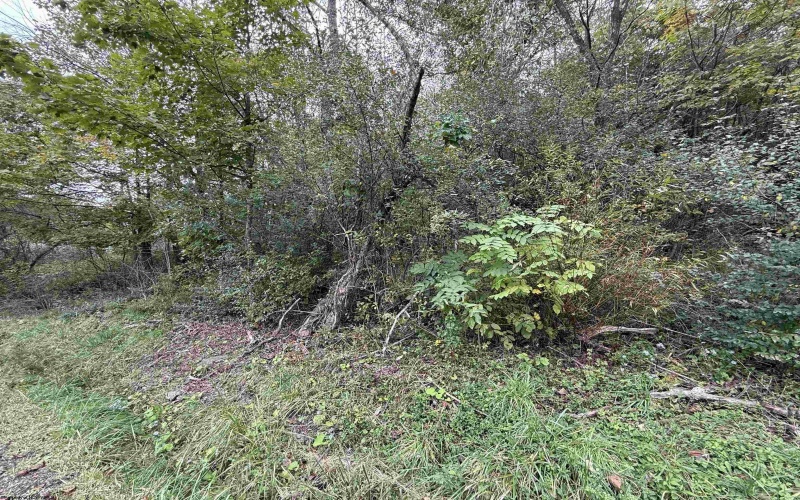 TBD Spencer Street, Flemington, West Virginia 26347, 0 , 0 ,0,Lots/land,For Sale,Spencer,0,10167242
