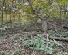 TBD Spencer Street, Flemington, West Virginia 26347, 0 , 0 ,0,Lots/land,For Sale,Spencer,0,10167242
