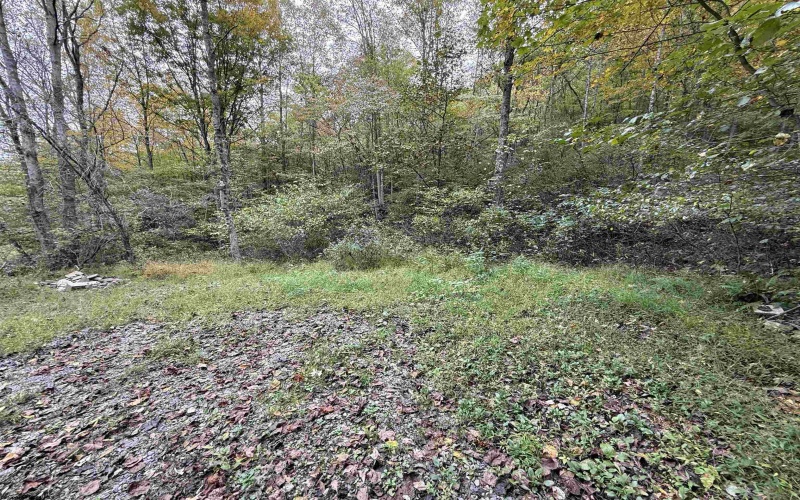 TBD Spencer Street, Flemington, West Virginia 26347, 0 , 0 ,0,Lots/land,For Sale,Spencer,0,10167242