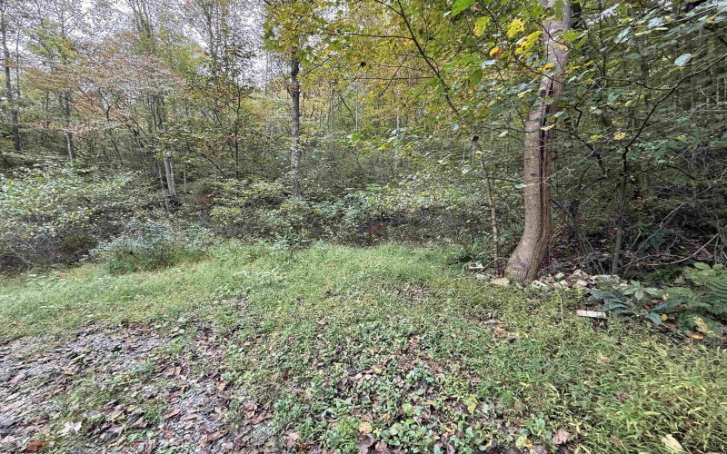 TBD Spencer Street, Flemington, West Virginia 26347, 0 , 0 ,0,Lots/land,For Sale,Spencer,0,10167242