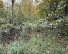 TBD Spencer Street, Flemington, West Virginia 26347, 0 , 0 ,0,Lots/land,For Sale,Spencer,0,10167242