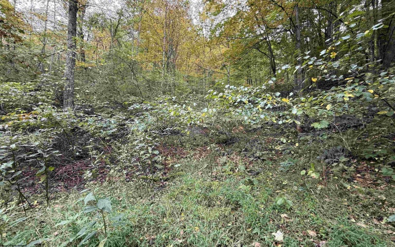 TBD Spencer Street, Flemington, West Virginia 26347, 0 , 0 ,0,Lots/land,For Sale,Spencer,0,10167242