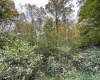 TBD Spencer Street, Flemington, West Virginia 26347, 0 , 0 ,0,Lots/land,For Sale,Spencer,0,10167242