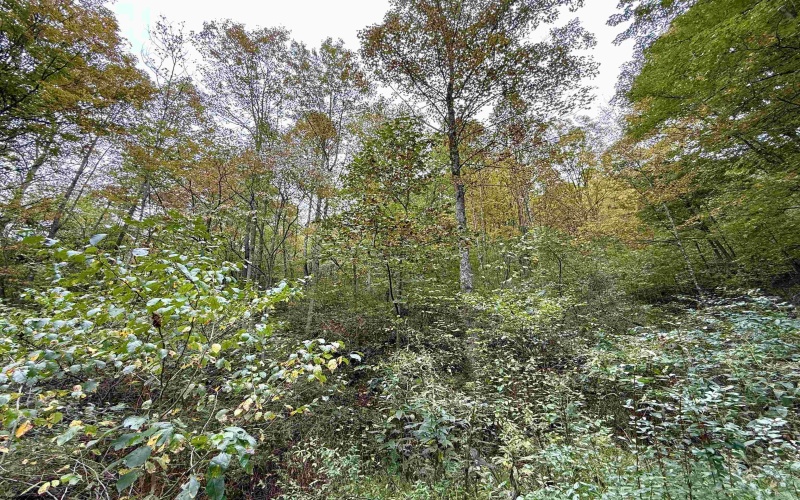 TBD Spencer Street, Flemington, West Virginia 26347, 0 , 0 ,0,Lots/land,For Sale,Spencer,0,10167242