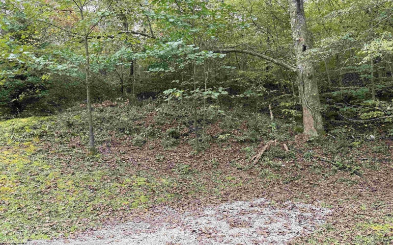 TBD Spencer Street, Flemington, West Virginia 26347, 0 , 0 ,0,Lots/land,For Sale,Spencer,0,10167242