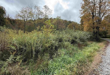 TBD Joes Run Road, Mannington, West Virginia 26582, 0 , 0 ,0,Lots/land,For Sale,Joes Run,0,10167244
