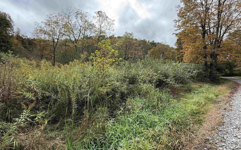 TBD Joes Run Road, Mannington, West Virginia 26582, 0 , 0 ,0,Lots/land,For Sale,Joes Run,0,10167244