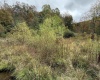 TBD Joes Run Road, Mannington, West Virginia 26582, 0 , 0 ,0,Lots/land,For Sale,Joes Run,0,10167244