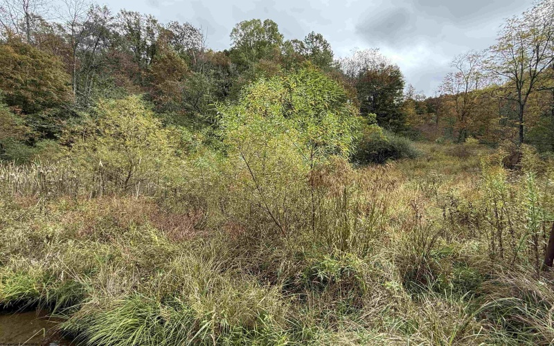 TBD Joes Run Road, Mannington, West Virginia 26582, 0 , 0 ,0,Lots/land,For Sale,Joes Run,0,10167244