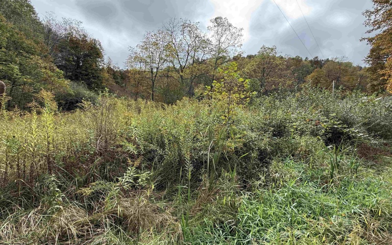 TBD Joes Run Road, Mannington, West Virginia 26582, 0 , 0 ,0,Lots/land,For Sale,Joes Run,0,10167244