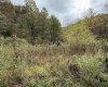 TBD Joes Run Road, Mannington, West Virginia 26582, 0 , 0 ,0,Lots/land,For Sale,Joes Run,0,10167244