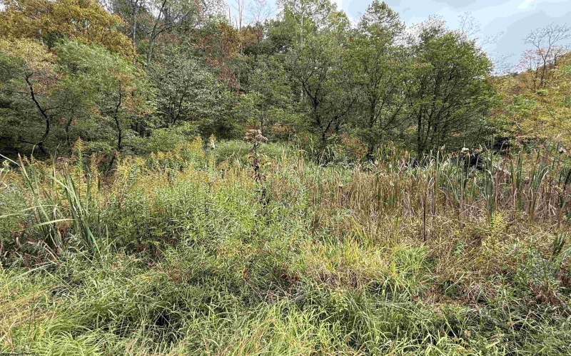 TBD Joes Run Road, Mannington, West Virginia 26582, 0 , 0 ,0,Lots/land,For Sale,Joes Run,0,10167244