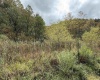 TBD Joes Run Road, Mannington, West Virginia 26582, 0 , 0 ,0,Lots/land,For Sale,Joes Run,0,10167244