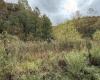 TBD Joes Run Road, Mannington, West Virginia 26582, 0 , 0 ,0,Lots/land,For Sale,Joes Run,0,10167244
