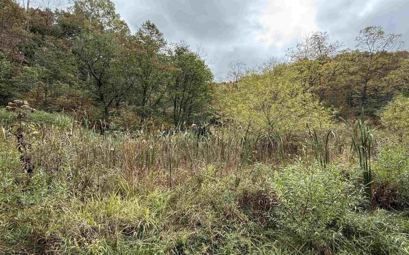 TBD Joes Run Road, Mannington, West Virginia 26582, 0 , 0 ,0,Lots/land,For Sale,Joes Run,0,10167244