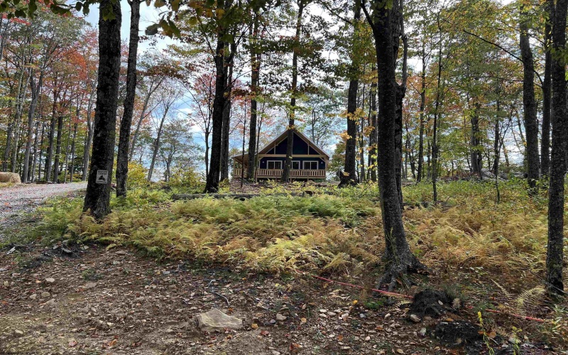 600 Forest Cabin Road, Huttonsville, West Virginia 26273, 2 Bedroom Bedrooms, 6 Room Rooms,2 BathroomBathrooms,Single Family Detached,For Sale,Forest Cabin,0,10161566