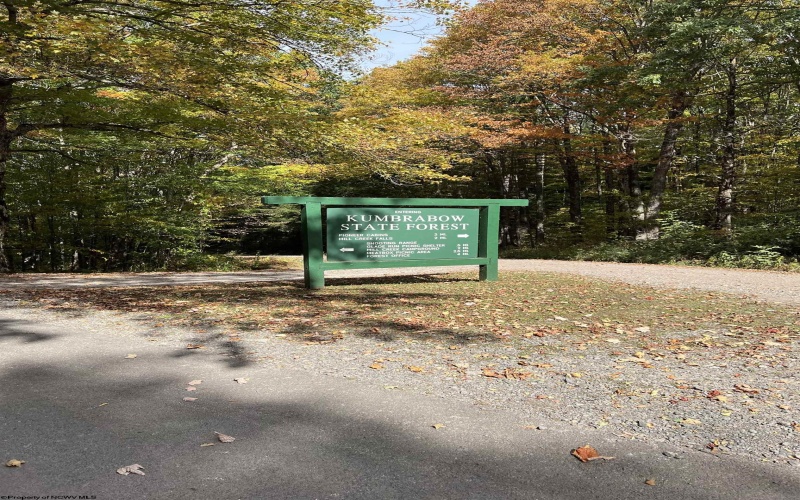 600 Forest Cabin Road, Huttonsville, West Virginia 26273, 2 Bedroom Bedrooms, 6 Room Rooms,2 BathroomBathrooms,Single Family Detached,For Sale,Forest Cabin,0,10161566