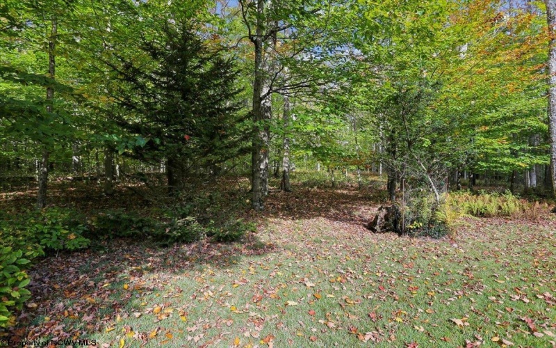 195 Bobcat Road, Davis, West Virginia 26260, 3 Bedroom Bedrooms, 8 Room Rooms,2 BathroomBathrooms,Single Family Detached,For Sale,Bobcat,0,10167266