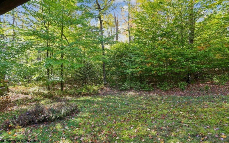 195 Bobcat Road, Davis, West Virginia 26260, 3 Bedroom Bedrooms, 8 Room Rooms,2 BathroomBathrooms,Single Family Detached,For Sale,Bobcat,0,10167266