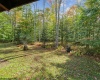 195 Bobcat Road, Davis, West Virginia 26260, 3 Bedroom Bedrooms, 8 Room Rooms,2 BathroomBathrooms,Single Family Detached,For Sale,Bobcat,0,10167266