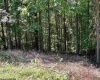 Lot 1 Lakeview Drive, Horner, West Virginia 26372, 0 , 0 ,0,Lots/land,For Sale,Lakeview,0,10167263