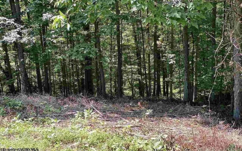 Lot 1 Lakeview Drive, Horner, West Virginia 26372, 0 , 0 ,0,Lots/land,For Sale,Lakeview,0,10167263