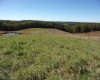 0 Everson Road, Buckhannon, West Virginia 26201, 0 , 0 ,0,Lots/land,For Sale,Everson,0,10167249 0 Everson Road, Buckhannon, West Virginia 26201, 0 , 0 ,0,Lots/land,For Sale,Everson,0,10167249