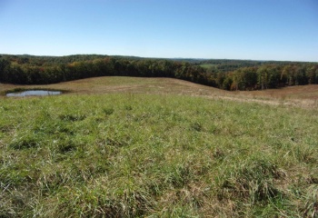 0 Everson Road, Buckhannon, West Virginia 26201, 0 , 0 ,0,Lots/land,For Sale,Everson,0,10167249