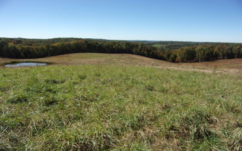 0 Everson Road, Buckhannon, West Virginia 26201, 0 , 0 ,0,Lots/land,For Sale,Everson,0,10167249 0 Everson Road, Buckhannon, West Virginia 26201, 0 , 0 ,0,Lots/land,For Sale,Everson,0,10167249