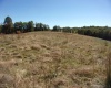 0 Everson Road, Buckhannon, West Virginia 26201, 0 , 0 ,0,Lots/land,For Sale,Everson,0,10167249 0 Everson Road, Buckhannon, West Virginia 26201, 0 , 0 ,0,Lots/land,For Sale,Everson,0,10167249