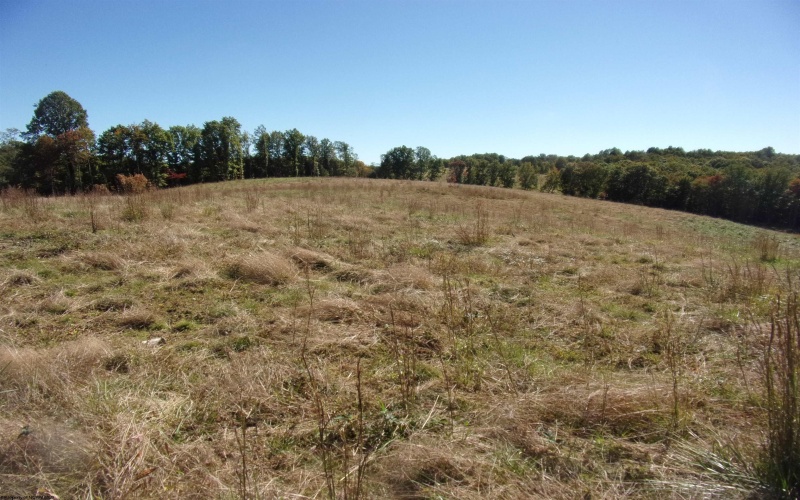 0 Everson Road, Buckhannon, West Virginia 26201, 0 , 0 ,0,Lots/land,For Sale,Everson,0,10167249 0 Everson Road, Buckhannon, West Virginia 26201, 0 , 0 ,0,Lots/land,For Sale,Everson,0,10167249