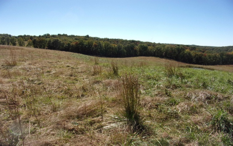 0 Everson Road, Buckhannon, West Virginia 26201, 0 , 0 ,0,Lots/land,For Sale,Everson,0,10167249 0 Everson Road, Buckhannon, West Virginia 26201, 0 , 0 ,0,Lots/land,For Sale,Everson,0,10167249