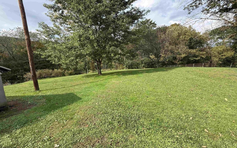 101 Perine Street, Buckhannon, West Virginia 26201, 3 Bedroom Bedrooms, 9 Room Rooms,2 BathroomBathrooms,Single Family Detached,For Sale,Perine,0,10167253 101 Perine Street, Buckhannon, West Virginia 26201, 3 Bedroom Bedrooms, 9 Room Rooms,2 BathroomBathrooms,Single Family Detached,For Sale,Perine,0,10167253