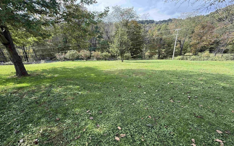101 Perine Street, Buckhannon, West Virginia 26201, 3 Bedroom Bedrooms, 9 Room Rooms,2 BathroomBathrooms,Single Family Detached,For Sale,Perine,0,10167253 101 Perine Street, Buckhannon, West Virginia 26201, 3 Bedroom Bedrooms, 9 Room Rooms,2 BathroomBathrooms,Single Family Detached,For Sale,Perine,0,10167253