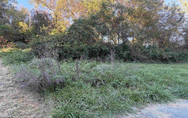 TBD Gladden View Avenue, Fairmont, West Virginia 26554, 0 , 0 ,0,Lots/land,For Sale,Gladden View,0,10167292