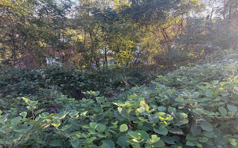 TBD Gladden View Avenue, Fairmont, West Virginia 26554, 0 , 0 ,0,Lots/land,For Sale,Gladden View,0,10167292