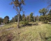 369 Halleck Road, Fairmont, West Virginia 26554, 0 , 0 ,0,Lots/land,For Sale,Halleck,0,10167287
