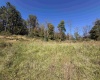 369 Halleck Road, Fairmont, West Virginia 26554, 0 , 0 ,0,Lots/land,For Sale,Halleck,0,10167287