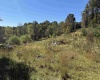 369 Halleck Road, Fairmont, West Virginia 26554, 0 , 0 ,0,Lots/land,For Sale,Halleck,0,10167287