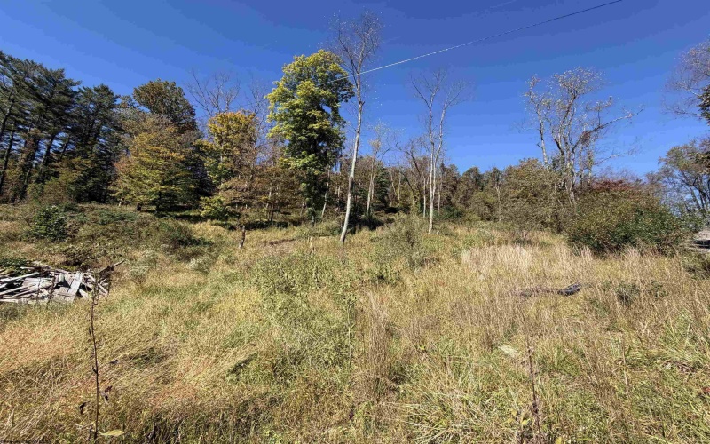 369 Halleck Road, Fairmont, West Virginia 26554, 0 , 0 ,0,Lots/land,For Sale,Halleck,0,10167287