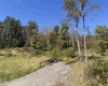 369 Halleck Road, Fairmont, West Virginia 26554, 0 , 0 ,0,Lots/land,For Sale,Halleck,0,10167287