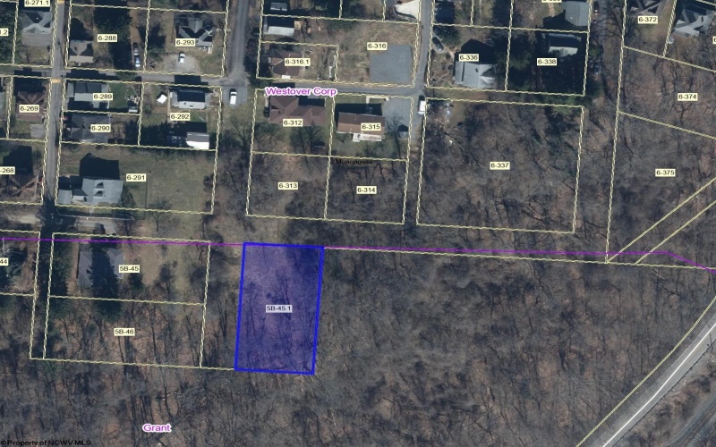 61 High Street, Westover, West Virginia 26501, 0 , 0 ,0,Lots/land,For Sale,High,0,10167280