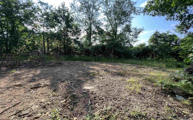 TBD Mid Avenue, Weston, West Virginia 26452, 0 , 0 ,0,Lots/land,For Sale,Mid,0,10163925
