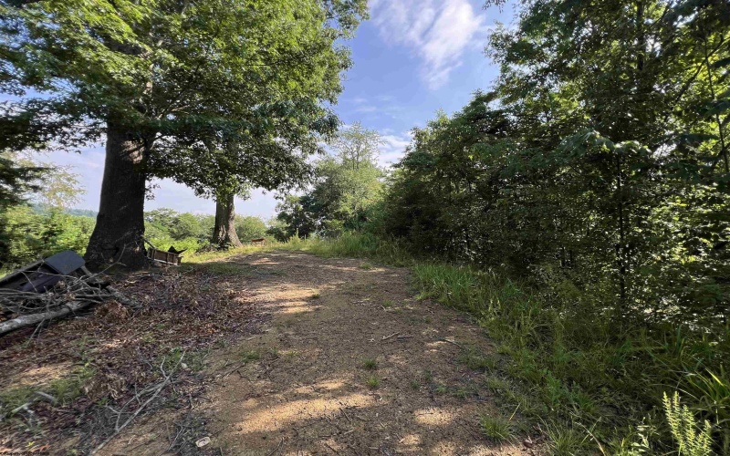 TBD Mid Avenue, Weston, West Virginia 26452, 0 , 0 ,0,Lots/land,For Sale,Mid,0,10163925