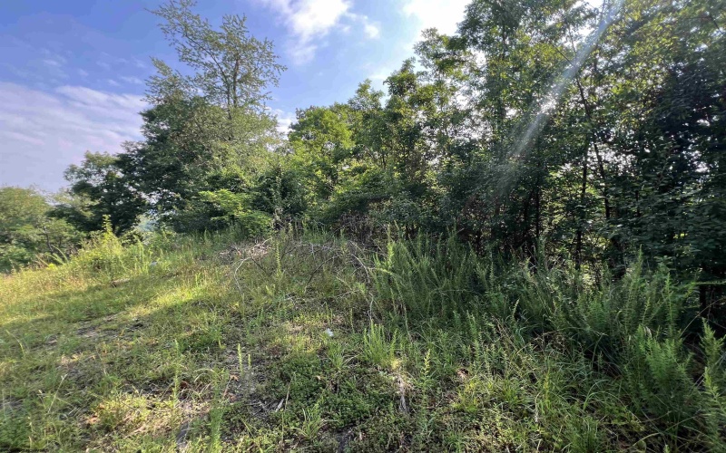 TBD Mid Avenue, Weston, West Virginia 26452, 0 , 0 ,0,Lots/land,For Sale,Mid,0,10163925